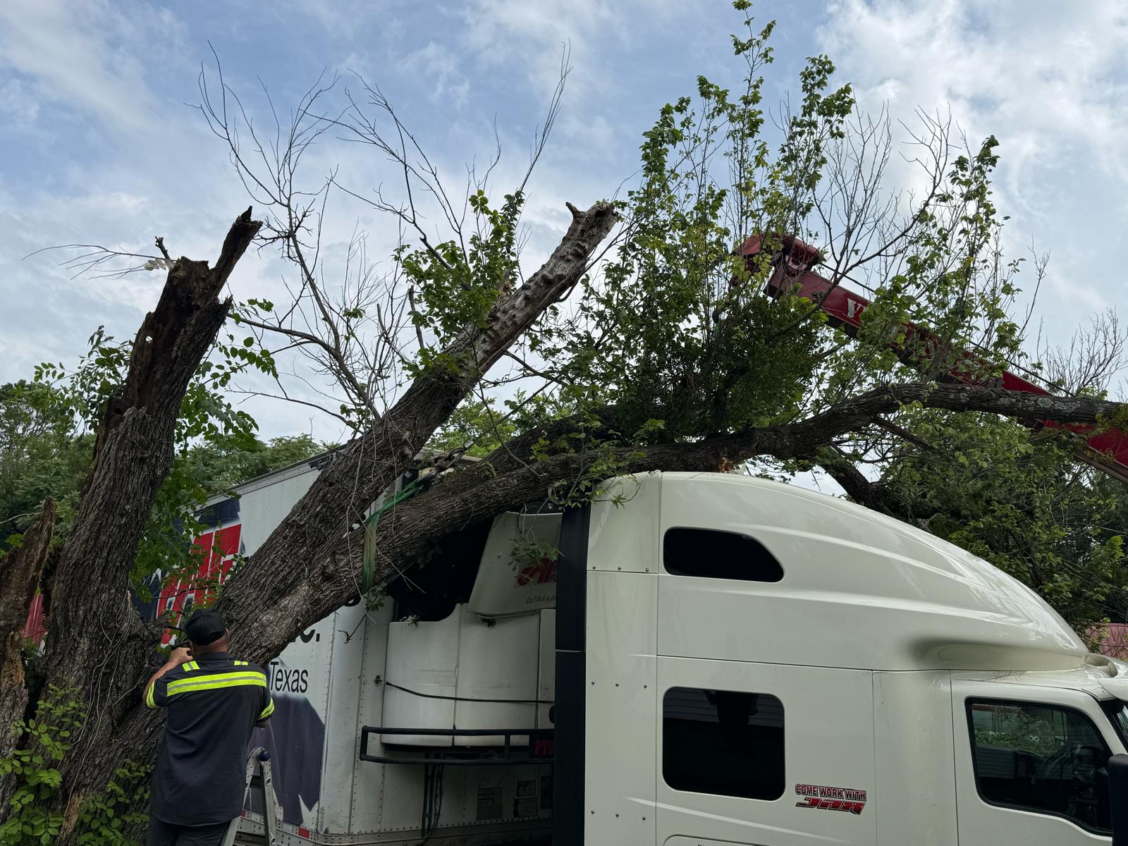 Brown & Sons crew clearing a fallen tree off a semi-truck sleeper cab